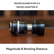 Macro-Elmar-M 90/4 와 매크로 어뎁터 M의 배율과 작업거리 비교