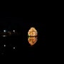 제주야경명소 다희연에서 열리는 제주 라프 별빛축제 LAF 라이트아트 페스타