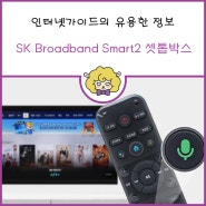 SK 브로드밴드의 Smart2 셋톱박스 정보! (by. 인터넷가이드)