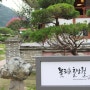 광주근교 꽃피는춘삼월 : 따뜻한 햇살과 자연이 숨쉬는 카페
