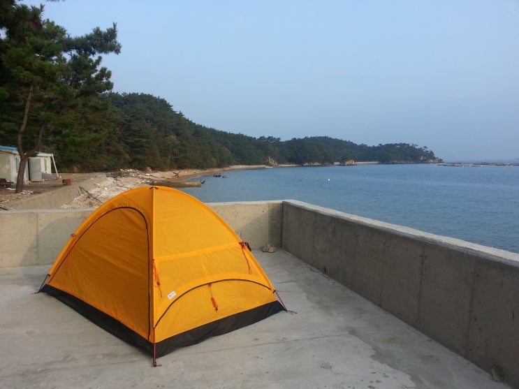 : 네이버 블로그