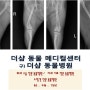 송파구 강아지 슬개골 탈구 수술, 강아지 슬개골 탈구 수술, 잠실 파크리오아파트 동물병원, 더샵 동물메디컬센터