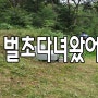 벌초하는시기언제가적당할까요전오늘벌초다녀왔어요