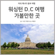 미국 동부 여행 | 볼거리 가득한 워싱턴 D.C 여행코스 & 가볼만한 곳