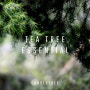 [캔들트리 천연 에센셜 오일] TEA TREE 티트리