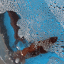 가을에 먹는 대하구이 전어구이 서산에서 달려간 날으는산오징어 붉은대게