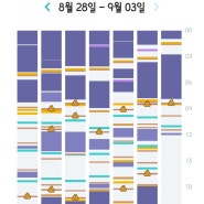 생후324일~331일, 10개월아기껌딱지, 10개월원더윅스, 엄마껌딱지, 10개월아기분리불안, 새벽에깨서노는아기, 자주깨는아기