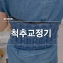 허리디스크 치료 허리복대 척추교정기 메디플래닛 추천