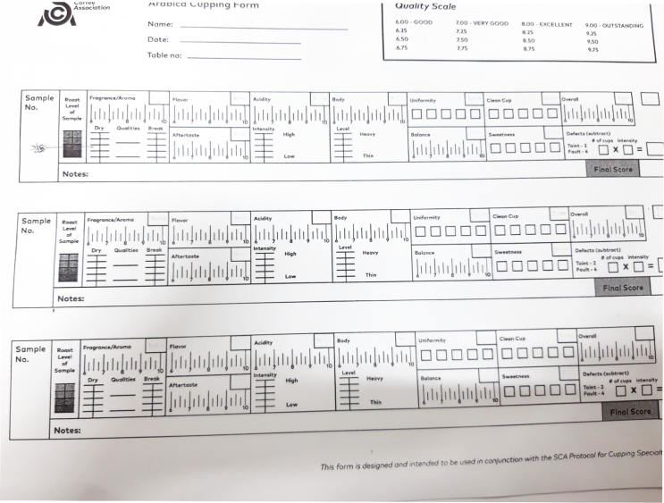 SCA 와 COE Chart form - 커핑 기초 (form) : 네이버 블로그