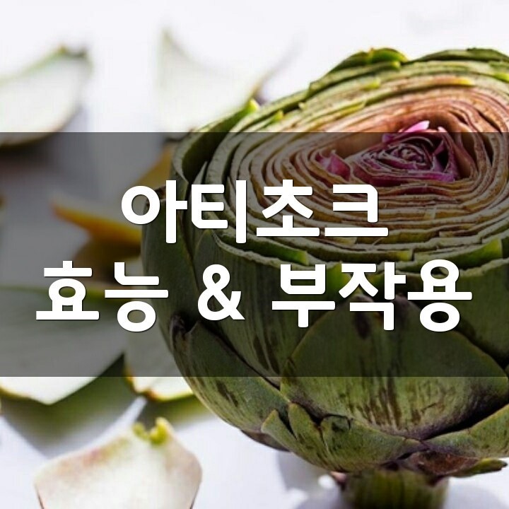 아티초크 (Artichoke) 효능, 부작용, 권장량, 제품 순위 : 네이버 블로그