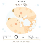 해피럭키 이브남매둥이 쌍둥이출산