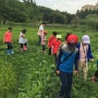 인천대공원 숲학교 : 유아 숲체험원 : 비오는날의 숲을 기대했었다.....