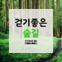 걷기 좋은 숲길 서울과 경기도 숲길들