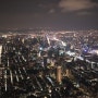 타이페이101빌딩 전망대 야경 구경!