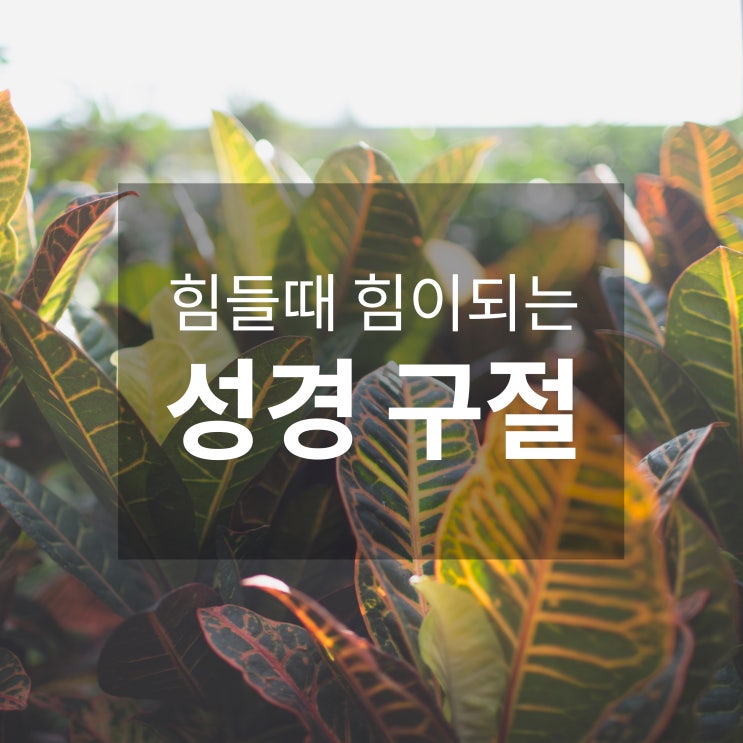 힘들때 힘이되는 짧은 성경구절, 말씀으로 편지 보내기 꿀팁 : 네이버 블로그