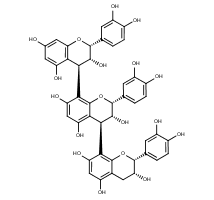 [CATECHIN & PROCYANIDIN] Procyanidin C1 (프로시아니딘 C1); Cinnamtannin A1