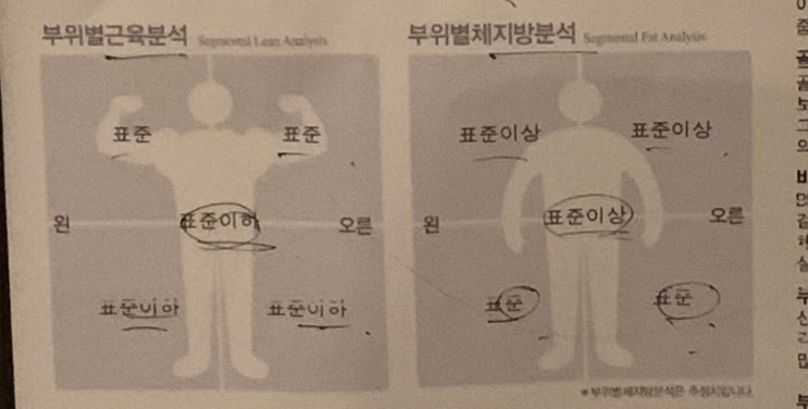 필라테스 한달 리얼후기 그리고 변화, 인바디 결과 첨부! (주3회 했어요~!) : 네이버 블로그