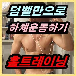 홈트레이닝 남자 하체운동 루틴 덤벨만으로 다리운동 하자! : 네이버 블로그