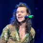 Harry Styles 가 '인어공주' 실사판 영화의 에릭 왕자역을 고사한 이유