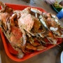 (미국 메릴랜드) 'Harris crab house', 샌디포인트 주립공원에서 해변놀이 하고 블루크랩 먹으러 고고~♡