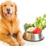 강아지 음식에 관한 이야기 : 우리집 레시피와 강아지 영양제