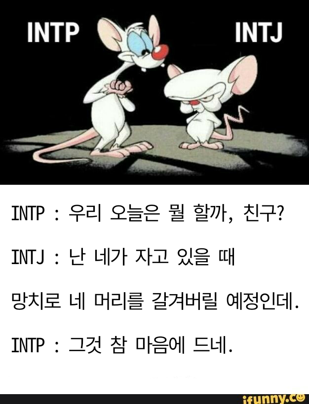 INTP-INTJ 커플 : 네이버 블로그