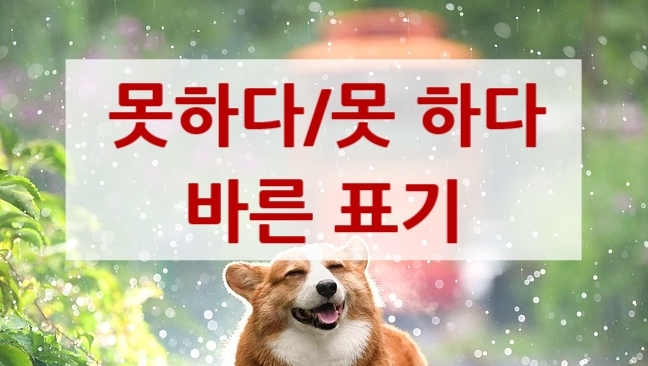 [맞춤법에 맞는 표기] (못하다/못 하다) : 네이버 블로그