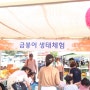 아이들천국 함양산삼축제 금붕어 생태체험 및 사니사미 기념품 받기