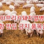 (필독)다낭여행과 아프리카돼지열병, 공항 반입 금지품목은? 걸리면 500만원