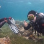 세부 다이브랩 에서 펀 다이빙을 조지자 [세부여행 / 필리핀여행 / 스쿠버다이빙 / 세부다이빙 / 필리핀여행]