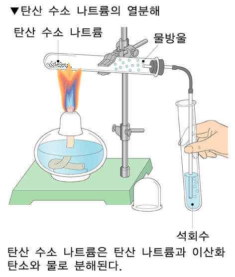 인체에서 분비되는 베이킹 소다 - 약알칼리성 이야기 : 네이버 블로그