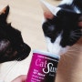 펫에그 캣슈어 고양이들의 유동식 영양제에요~!