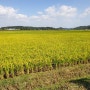 친환경농산물 재배를 위한 친환경 농법!!