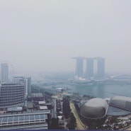 [싱가폴 생활] 포뮬러 원 in 싱가포르