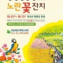 전남 장성 여행 2019 황룡강 노란꽃잔치 축제