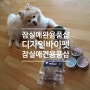 디자인바이펫 : 잠실애견용품샵 에서 다양한 강아지간식 강아지용품을 만나보았어요:)