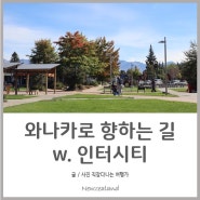 마운트쿡에서 와나카로 가는 길 w. 쿡커넥션 / 인터시티버스