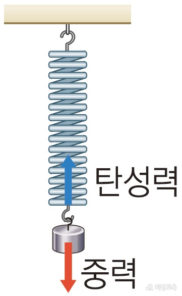 Ⅱ.여러가지 힘- 중력과 탄성력 : 네이버 블로그