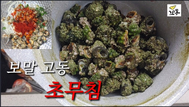바다에서 손쉽게 구해서 만드는 보말고동 초무침(꼬동TV) : 네이버 블로그