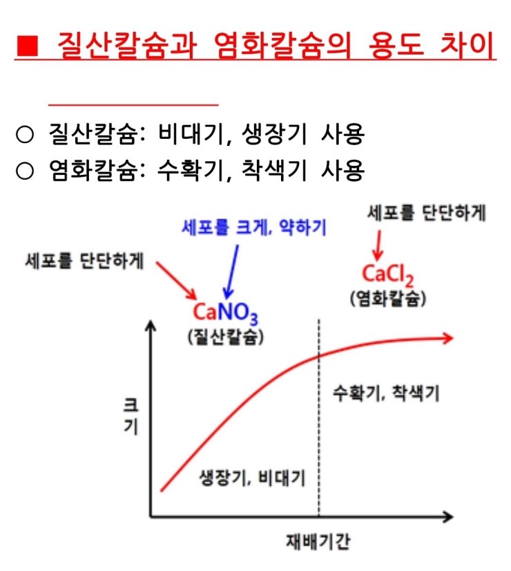 질산칼슘과 염화칼슘의 용도차이 : 네이버 블로그