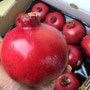 [공씨네과일] 석류가 들어왔오요! :) 9월 30일 오늘의 과일 (과일 전국택배 보내드립니다)