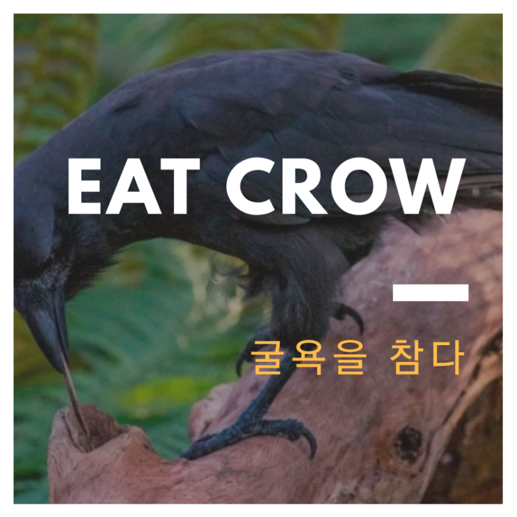 Eat Crow/ Eat Humble Pie/ 굴욕을 참다, (마지못해) 잘못을 인정하다 : 네이버 블로그