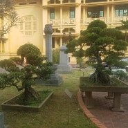 돌아온 하노이(목요농원,정원관리)