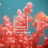2019년 팬톤 올해의 컬러 - 리빙 코랄(Living Coral)