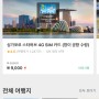 [싱가포르] 스타허브 4G 100GB 유심 구매 및 사용후기 (feat.클룩)
