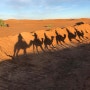 해피 뉴 이어 @ Sahara Desert Morocco