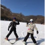 스타힐리조트 즐겁게 스키 강습받은 후기!