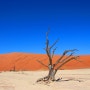 [아프리카여행 11일차] 나미비아(Namibia) 렌터카 여행- 나미브사막! 아무것도 없는 곳, 메마른 땅 데드플라이(Dead vlei), 데드블레이