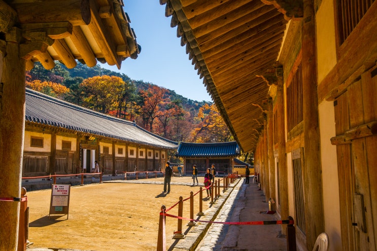 해인사 장경판전_유네스코 세계문화유산(1995 등재) 해인사 대장경판·제(諸)경판_유네스코 세계기록유산(2007 등재 ...