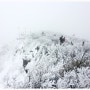[제주 여행]2019년 새해!!! 드디어 한라산의 눈꽃을 만났다~.#한라산 영실코스